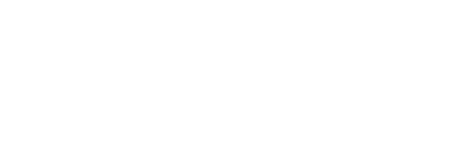Eclipse BCS