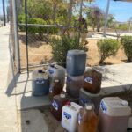 aceite1